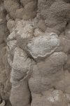 Closeup Limestone Crust Formed