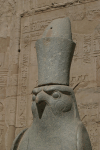 Close-up Head Falcon Statue