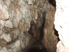 Cave Behind Waterfall Rare