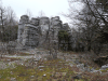 Stone Forest Monodendri