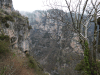 Vikos Gorge Monodendri