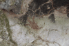 Stone Age Painting Cave