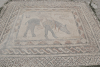 Floor Mosaic House Acrobat