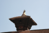 Roof Decoration Yaksheshvara Temple