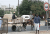Horse Drawn Cart Street