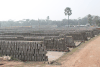 Rows Rows Drying Bricks