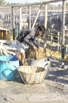 Fish Prepared Drying Soaking