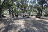 Camp Dining Tent Foreground