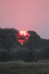 Sunset Botswana