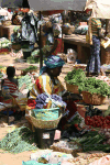 Market Vendor