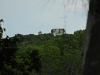 Maya Pyramid Rising Above