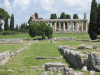 View Over Paestum Temple