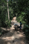 Locals Working Forest Tractors