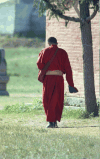 Buddhist Monk