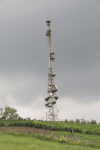 Microwave Tower Lots Nests