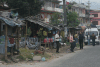 Roadside Vegetable Stands