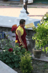 Buddhist Monk Circling Stupa