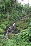 El Yunque National Forest