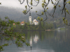 Church Lake Bled