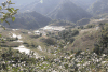 Rice Farming Terraces Mountains